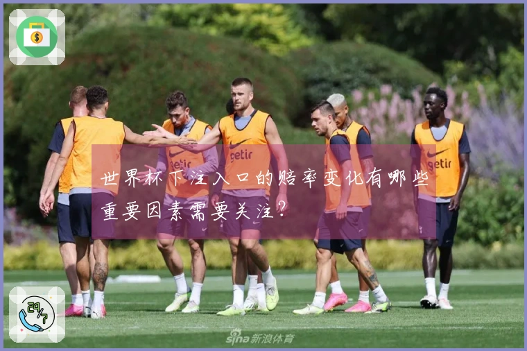 世界杯下注入口的赔率变化有哪些重要因素需要关注？