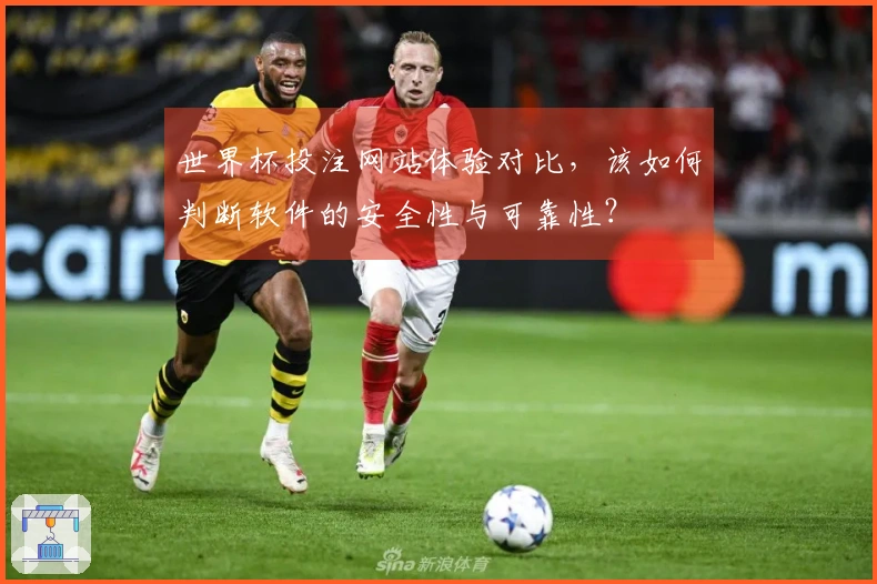 世界杯投注网站体验对比，该如何判断软件的安全性与可靠性？