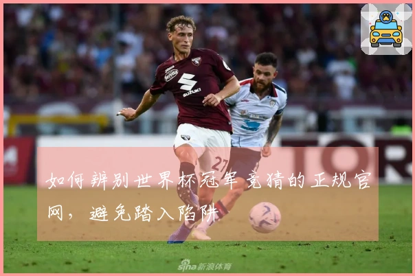 如何辨别世界杯冠军竞猜的正规官网，避免踏入陷阱