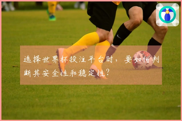 选择世界杯投注平台时，要如何判断其安全性和稳定性？
