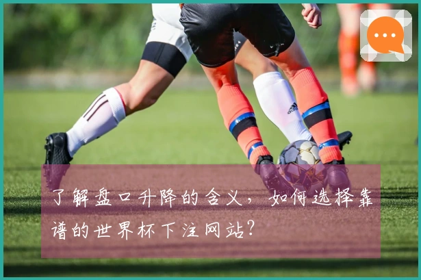 了解盘口升降的含义，如何选择靠谱的世界杯下注网站？