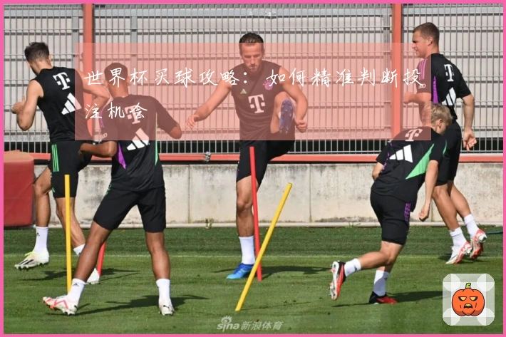 世界杯买球攻略：如何精准判断投注机会