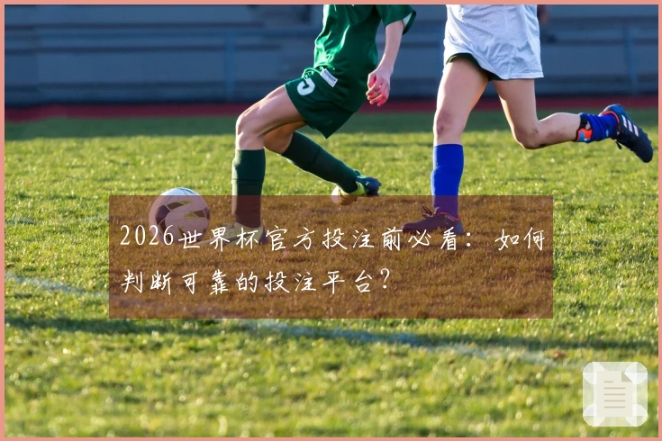 2026世界杯官方投注前必看：如何判断可靠的投注平台？