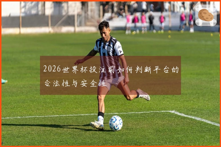 2026世界杯投注前如何判断平台的合法性与安全性