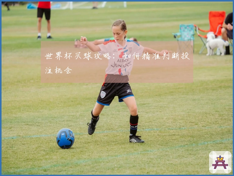 世界杯买球攻略：如何精准判断投注机会