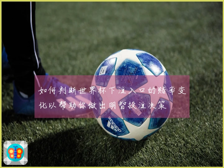 如何判断世界杯下注入口的赔率变化以帮助你做出明智投注决策
