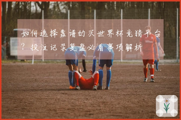 如何选择靠谱的买世界杯竞猜平台?投注记录复盘必看事项解析
