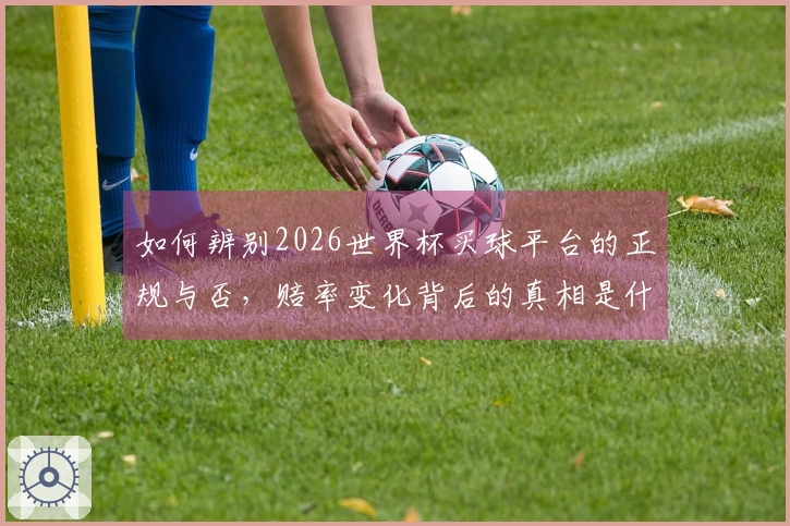 如何辨别2026世界杯买球平台的正规与否，赔率变化背后的真相是什么？