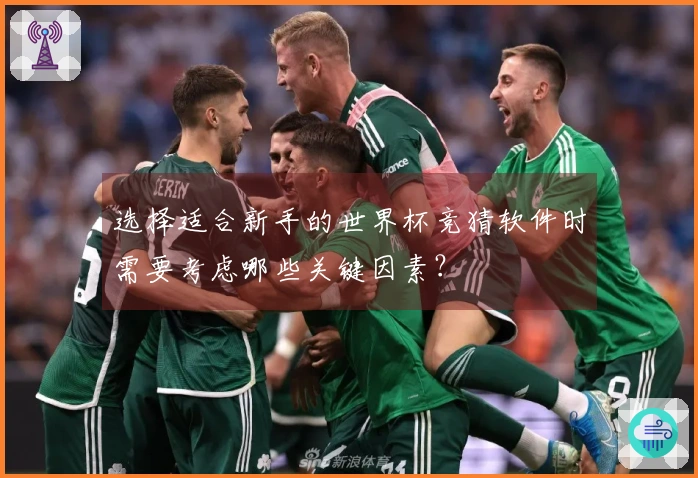 选择适合新手的世界杯竞猜软件时需要考虑哪些关键因素？