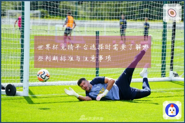 世界杯竞猜平台选择时需要了解哪些判断标准与注意事项