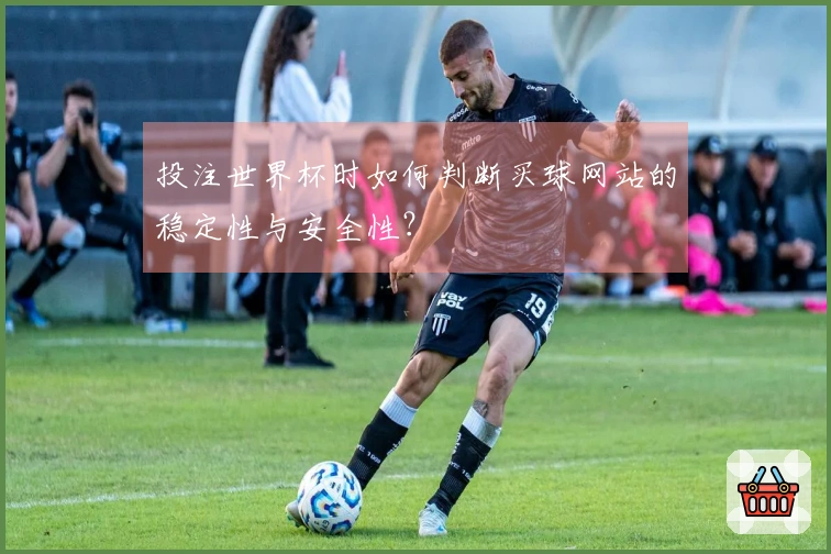 投注世界杯时如何判断买球网站的稳定性与安全性？