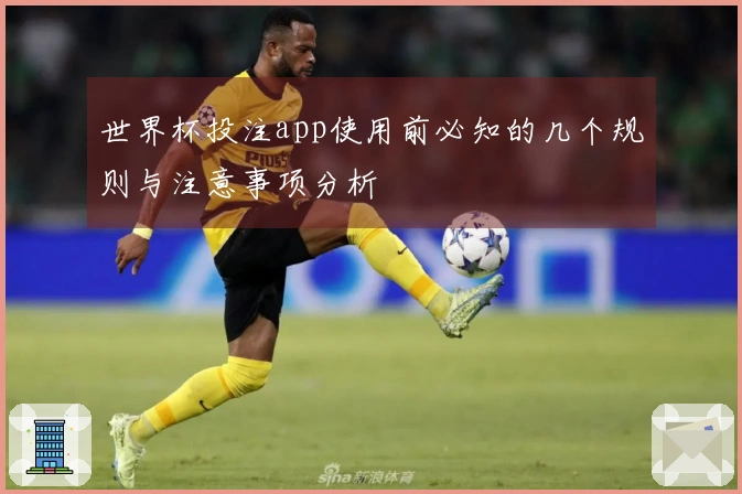 世界杯投注app使用前必知的几个规则与注意事项分析