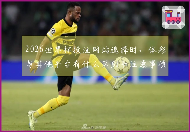 2026世界杯投注网站选择时，体彩与其他平台有什么区别和注意事项？