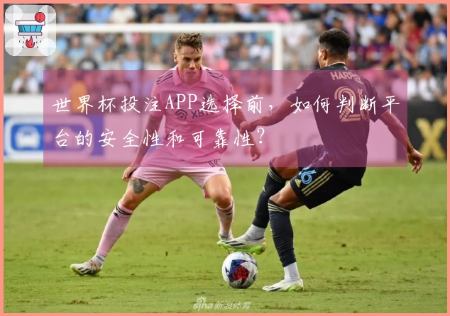 世界杯投注APP选择前，如何判断平台的安全性和可靠性？