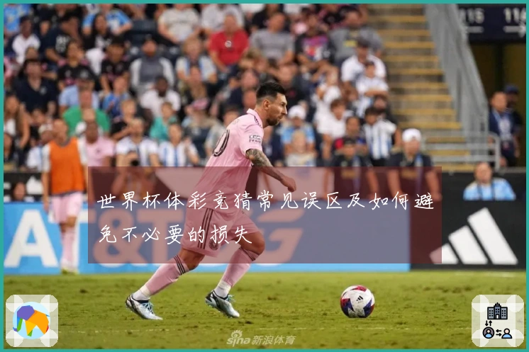 世界杯体彩竞猜常见误区及如何避免不必要的损失