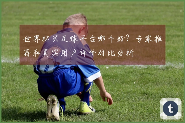 世界杯买足球平台哪个好？专家推荐和真实用户评价对比分析
