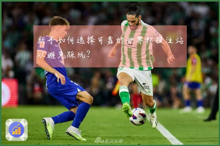 新手如何选择可靠的世界杯投注站以避免踩坑？
