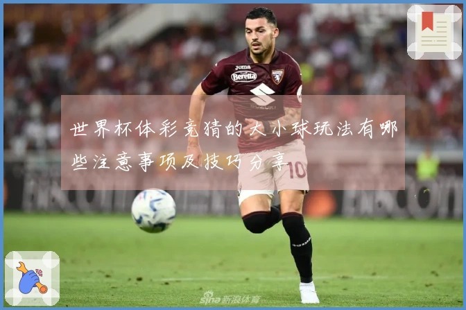 世界杯体彩竞猜的大小球玩法有哪些注意事项及技巧分享