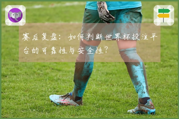 赛后复盘：如何判断世界杯投注平台的可靠性与安全性？