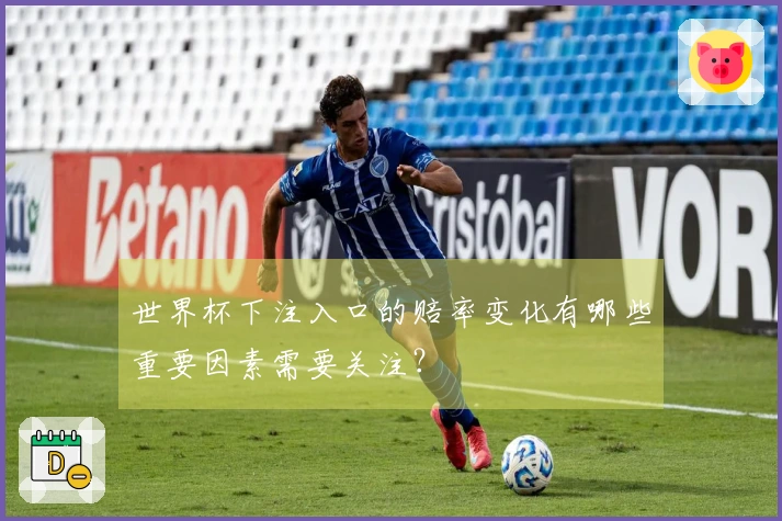 世界杯下注入口的赔率变化有哪些重要因素需要关注？