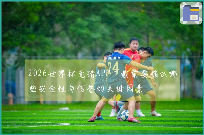 2026世界杯竞猜APP下载前要确认哪些安全性与信誉的关键因素