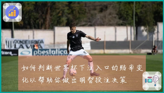 如何判断世界杯下注入口的赔率变化以帮助你做出明智投注决策